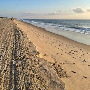 Meet your Posher, Kory